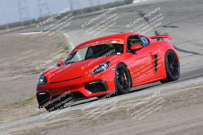 media/Oct-21-2023-Speed Ventures (Sat) [[ddf75163c5]]/Green/Grapvine/